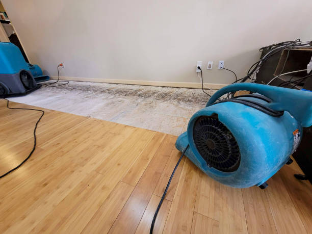 Professional Sewage Cleanup technician working in Regina, NM